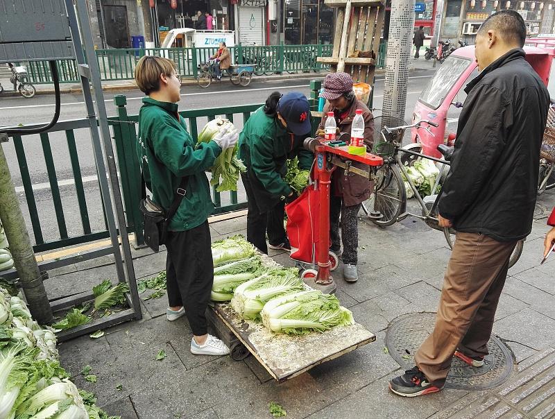 大白菜最新价格动态解析报告