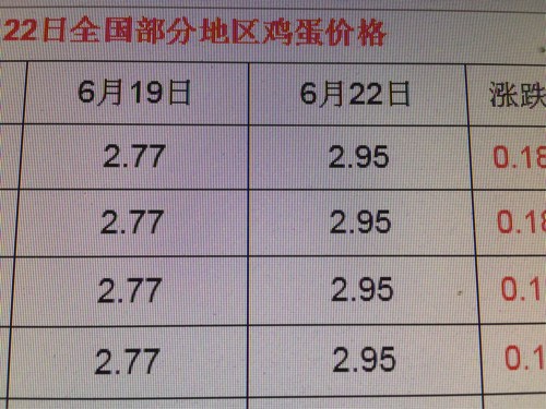 鸡蛋今日最新价格动态解析报告