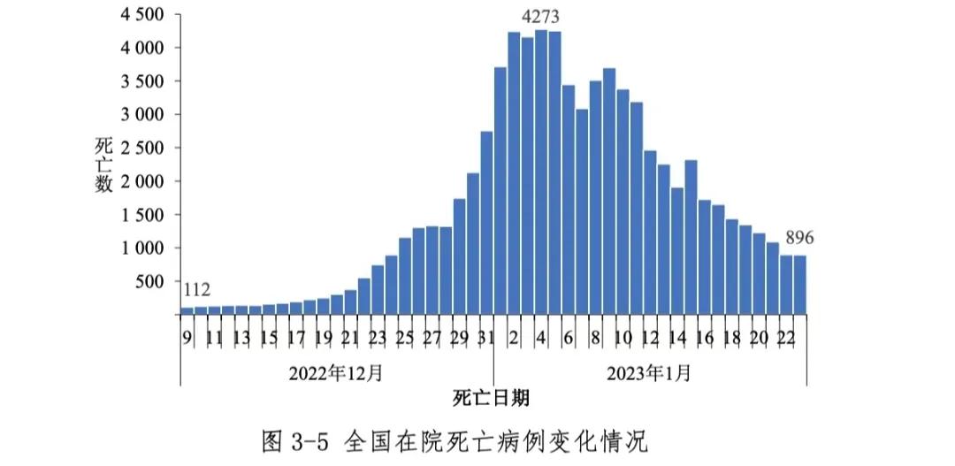 国内最新疫情全面应对举措，守护家园安宁安全