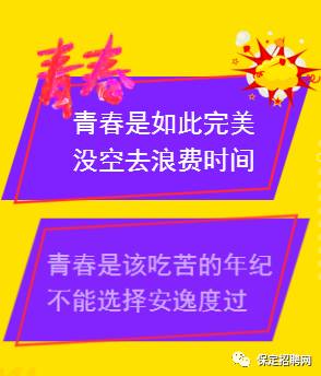 保定最新招聘动态与职业发展的多元机遇