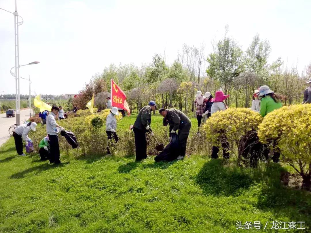 兴隆县住房和城乡建设局领导团队全新亮相，未来工作展望与期待