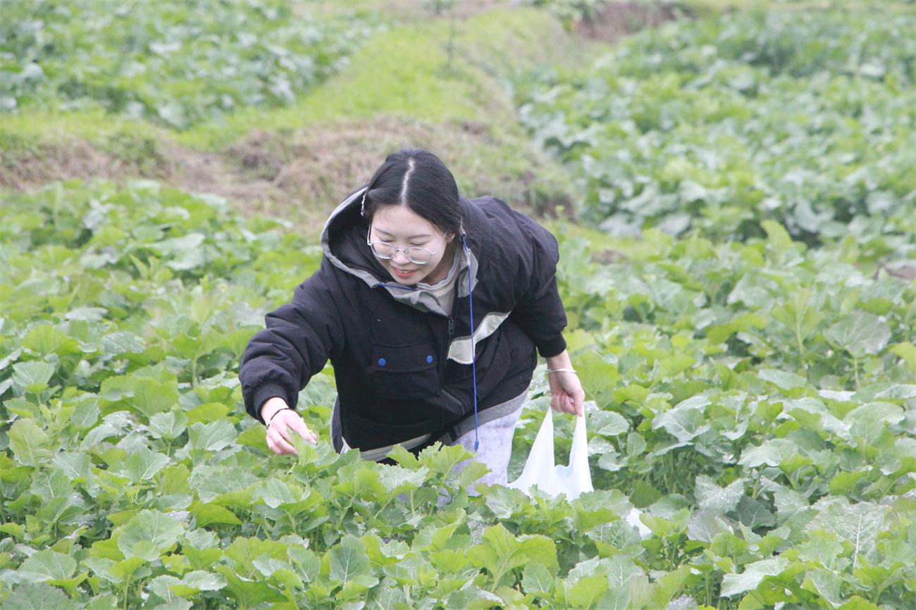 贵定县住房和城乡建设局最新项目进展动态