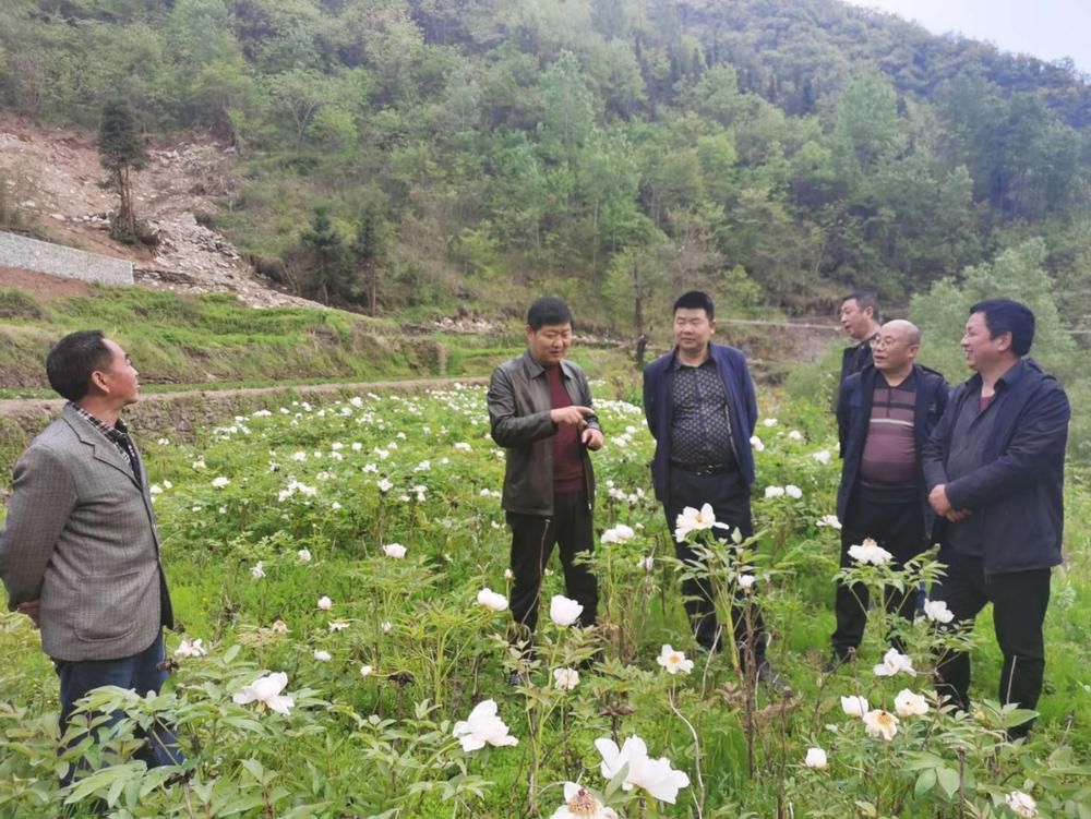 汉滨区水利局最新招聘信息汇总及详情解读