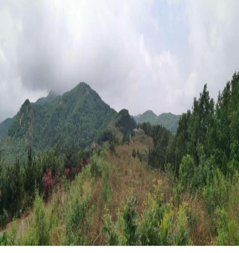 珠山区住房和城乡建设局领导团队全新亮相，未来工作展望与任务揭秘