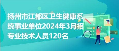 2024年12月17日 第31页