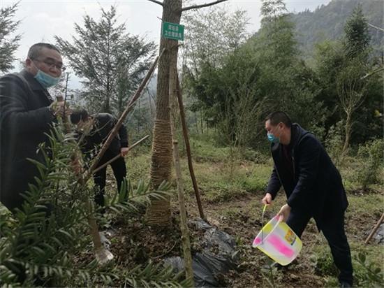 荥经县住房和城乡建设局领导团队，引领城市建设的核心力量